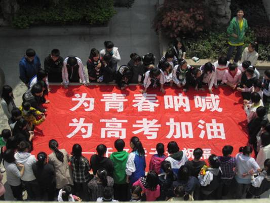 强基计划到底值不值得报？高考统招VS强基计划对比分析