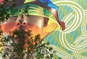 首席咨询师、高校教师：张老师