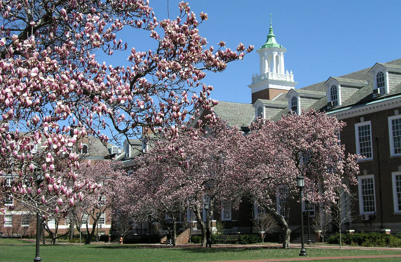 5所部委直属院校特色鲜明，就业有优势